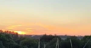 réserver une séance d'hypnose holistique